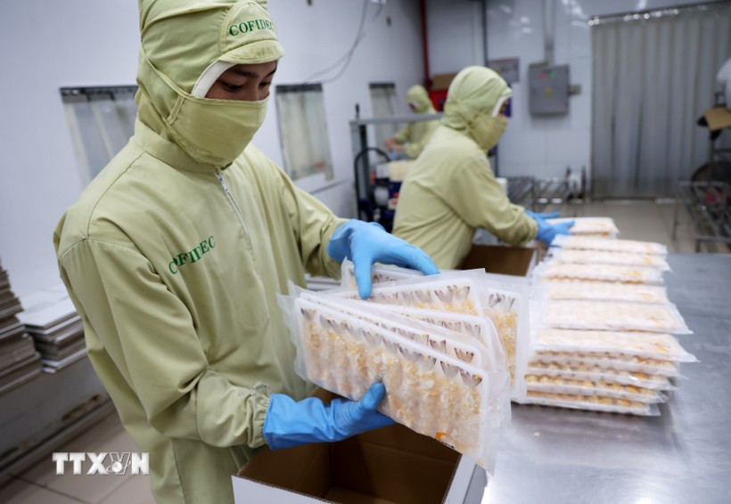Упаковывают переработанную креветочную продукцию на экспорт в Японию. (Фото: Хонг Дат/ВИА)