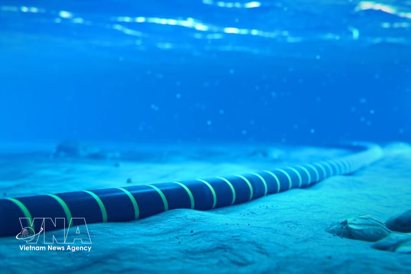 Фотоиллюстрация: (https://bnews.vn/)