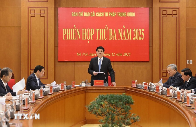 Президент государства Лыонг Кыонг, глава Центрального руководящего комитета по судебной реформе, выступает с руководящими указаниями. (Фото: ВИА)