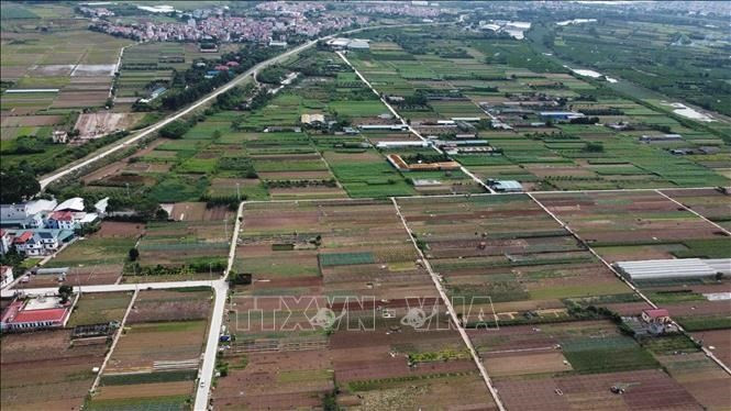 Устранение затруднений при организации исполнения Закона о земле. (Иллюстративное фото: ВИА)