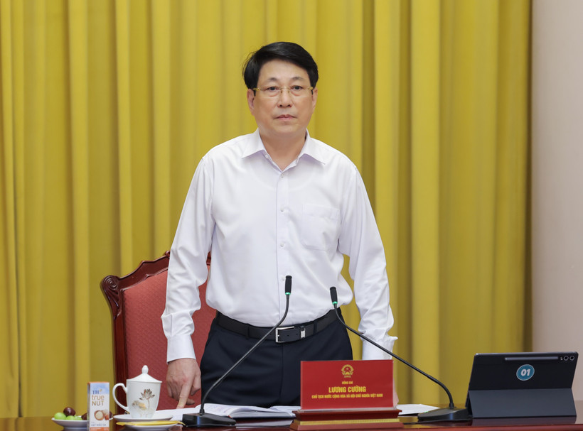 Президент Лыонг Кыонг выступает с руководящими указаниями. (Фото: ВИА)