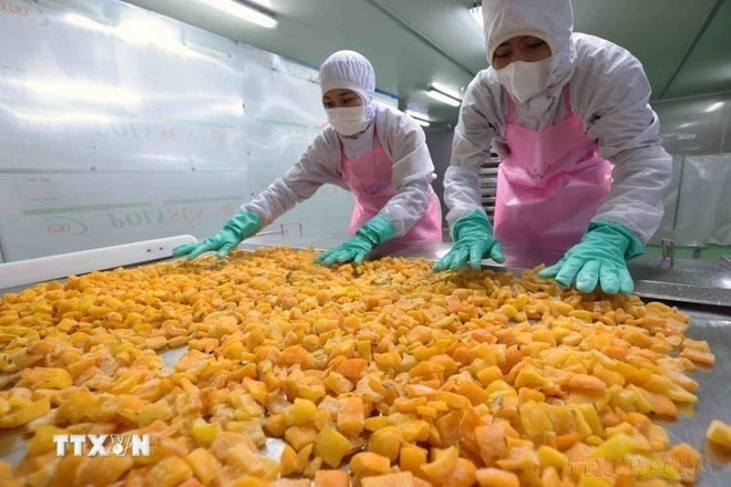 Переработка сельскохозяйственной продукции на экспорт. (Фото: ВИА) clip-2.jpg