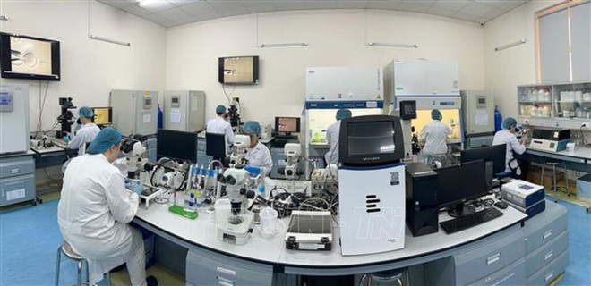 Лаборатория биотехнологий Международного университета при Национальном университете Хошимина была оснащена современным оборудованием и техникой на сумму более 40 миллиардов донгов. Фото: ВИА. 101336-vna-potal-50-nam-thong-nhat-dat-nuoc-tp-ho-chi-minh-trung-tam-dao-tao-nhan-luc-hang-dau-ca-nuoc-7986676.jpg