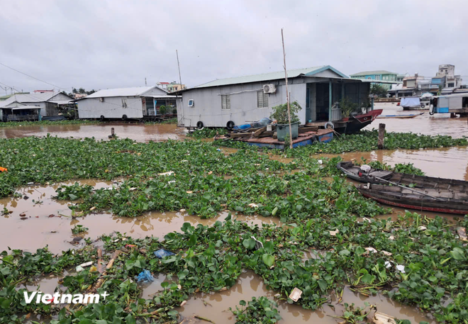Действия по сокращению пластикового загрязнения. (Фото: Vietnam+) 2-rac-thai-2.png