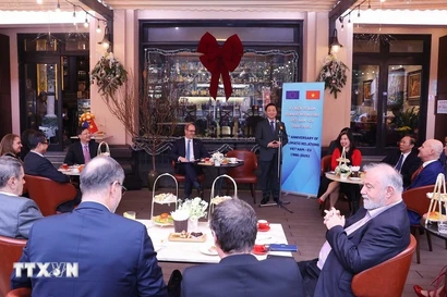 Общий вид встречи заместителя Премьер-министра Чан Хонг Ха с послами, временными поверенными в делах Европейского союза и государств-членов. Фото: ВИА.