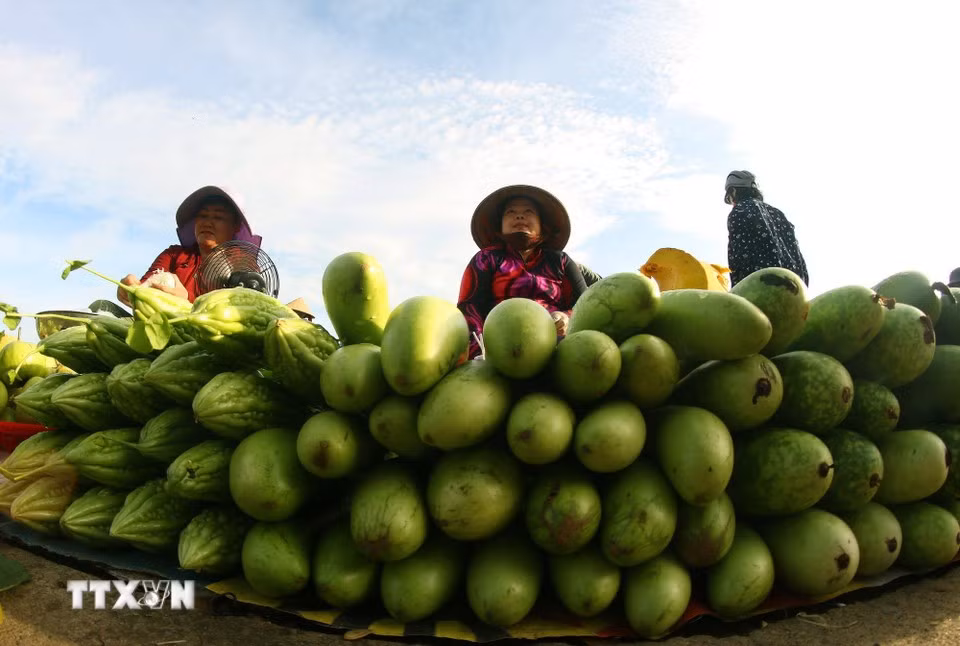 Продажа сельскохозяйственной продукции в небольших традиционных торговых точках открывает дополнительные возможности для сбыта товаров и одновременно позволяет жителям использовать имеющиеся ресурсы собственных садов (Фото: ВИА)