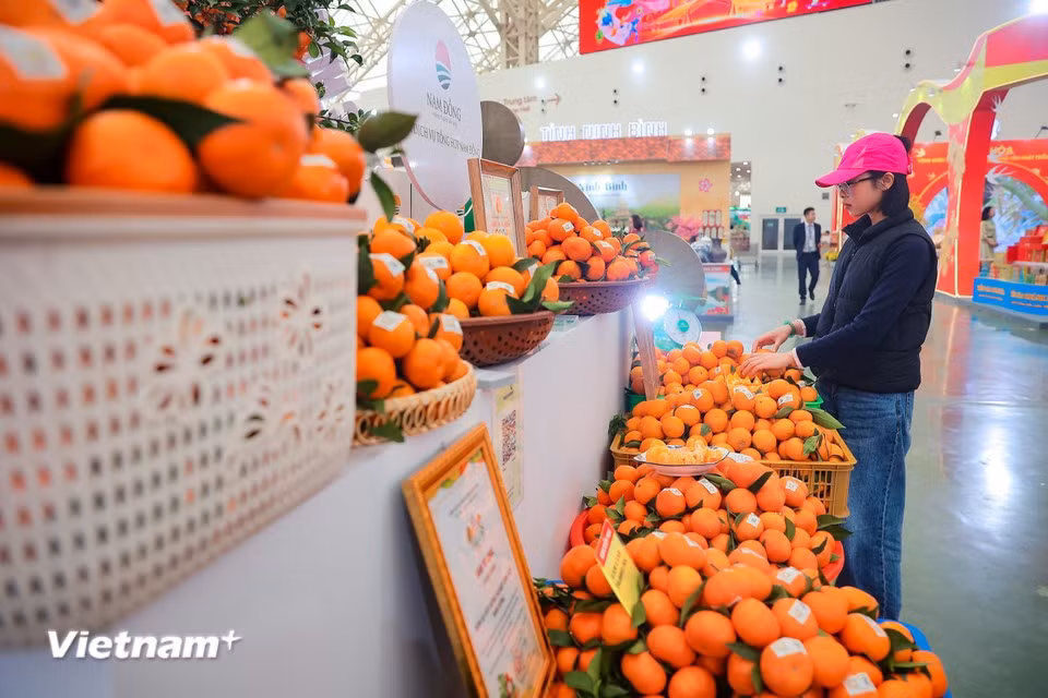 Пространство сельскохозяйственной продукции и региональных деликатесов на Национальной весенней ярмарке 2026 оформлено как «путешествие по весеннему Вьетнаму» и сосредоточено главным образом в залах выставочного комплекса «Ким Куи» и на открытых площадках (Фото: Вьетнам+)