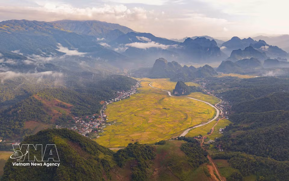 Золотистый цвет созревшего риса покрывает обширные поля, расположенные между горными хребтами, создавая характерный пейзаж долины Тьенгшинь (Фото: ВИА)