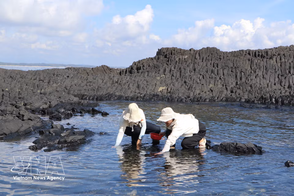 Туристы заходят в воду и собирают морских улиток (Фото: ВИА)