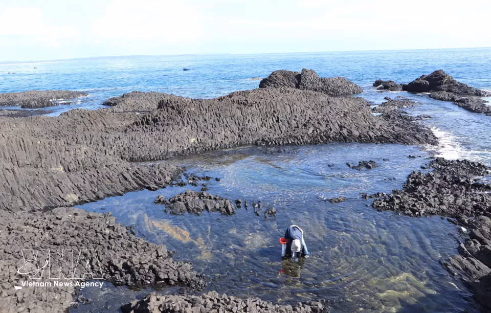 В районе Хон-нян туристы могут зайти в воду и попробовать собрать морских улиток (Фото: ВИА)