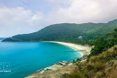 Освоение потенциала морского туризма в Южном Хойане