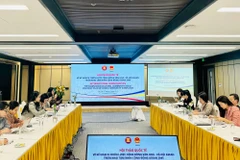 Семинар по стратегическому плану Социально-культурного сообщества АСЕАН (ASCC) по реализации Видения Сообщества АСЕАН 2045. (Фото: VGP)