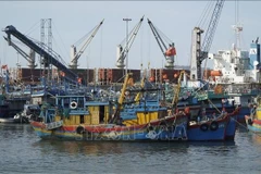 Рыболовные суда в порту Куангнгай. (Фото: ВИА)