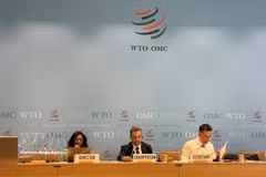 Президиум Комитета участников расширенного Соглашения по информационным технологиям (ITA-2). Фото: ВИА