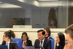 Директор Нгуен Хоанг Линь представляет национальный доклад Вьетнама на 10-й обзорной конференции по Конвенции о ядерной безопасности. (Фото: ВИА)