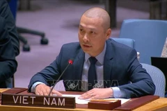 Посланник Нгуен Хоанг Нгуен, заместитель постоянного представителя Вьетнама при ООН, выступает на заседании. (Фото: ВИА)