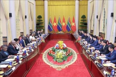 Президент государства Лыонг Кыонг и Президент Южно-Африканской Республики (ЮАР) Матамела Сирил Рамафоса проводят переговоры. (Фото: ВИА)