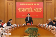 Президент государства Лыонг Кыонг, глава Центрального руководящего комитета по судебной реформе, выступает с руководящими указаниями. (Фото: ВИА)