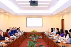 Рабочая встреча ВИА с делегацией Комитета по внешним связям администрации Санкт-Петербурга. (Фото: ВИА)