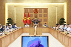 Премьер-министр Фам Минь Тьинь проводит совещание с Отделом по исследованию и развитию частной экономики. (Фото: ВИА)