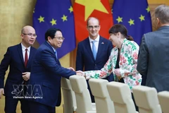 Премьер-министр Фам Минь Тьинь принимает представителей Делегации Европейского союза во Вьетнаме и послов государств – членов ЕС во Вьетнаме. (Фото: ВИА)