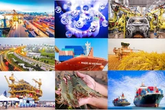 Иллюстративное фото. Источник: baochinhphu.vn