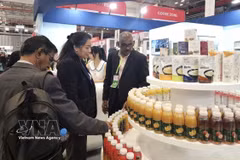 Международные закупщики знакомятся с продукцией Вьетнама на выставке Viet Nam International Sourcing 2025. Фото: ВИА