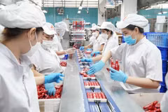 Работает линия упаковки продукции на «зелёном» предприятии — Акционерной компании «Вьетнамская мясная индустрия» (Vissan). (Фото: sggp.org.vn)