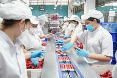 Работает линия упаковки продукции на «зелёном» предприятии — Акционерной компании «Вьетнамская мясная индустрия» (Vissan). (Фото: sggp.org.vn)