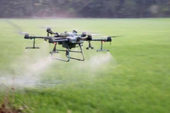 Фермеры провинции Анзянг используют дроны для опрыскивания, что помогает экономить затраты, трудовые усилия и время. (Фото: ВИА)