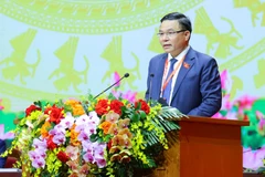 Секретарь партийного комитета, председатель Совета участников Petrovietnam Ле Мань Хунг выступает с докладом на I съезде партийной организации Правительства.