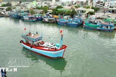 Решительно объявить борьбу с ННН-промыслом. (Фото: ВИА)