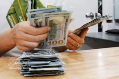 Денежные переводы соотечественников являются важным ресурсом экономики. (Фото: ВИА)