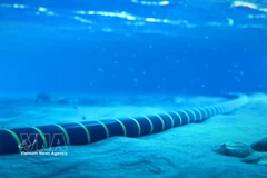 Фотоиллюстрация: (https://bnews.vn/)