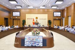 Постоянный комитет Национального собрания проводит голосование. Фото: ВИА