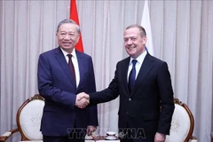 Генеральный секретарь То Лам и председатель партии «Единая Россия», замглавы Совета безопасности Российской Федерации Дмитрий Медведев встречаются. (Фото: ВИА)