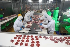 Рабочие компании с ограниченной ответственностью Pacow International (квартал Зялок, провинция Тэйнинь) возвращаются к работе в обычном режиме после праздника Тэт, чтобы обеспечить рынок продуктами питания. (Фото: ВИА)