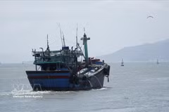 Рыболовное судно выходит в море. (Фото: ВИА)
