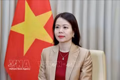 Заместитель министра иностранных дел Нгуен Минь Ханг. (Фото: ВИА)