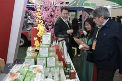 Посетители осматривают стенды на Весенней ярмарке 2026. (Фото: ВИА)