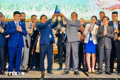 Вьетнамский рис ST25 вновь стал победителем конкурса «Лучший рис в мире». (Фото: ВИА)