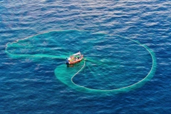 Усилия по снятию «жёлтой карточки» ЕС за ННН-промысел: На пути к ответственному развитию отрасли водного промысла