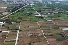 Устранение затруднений при организации исполнения Закона о земле. (Иллюстративное фото: ВИА)