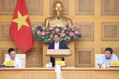 Премьер-министр Фам Минь Тьинь провёл рабочую встречу с Консультативным советом по политике. (Фото: ВИА)