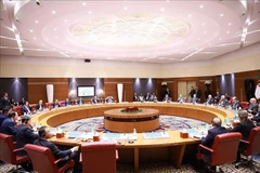 Премьер-министр Фам Минь Тьинь проводит переговоры с Премьер-министром Алжирской Народной Демократической Республики Сифи Гриебом. (Фото: ВИА)