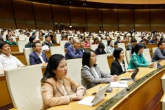 Утром 4 ноября Национальное собрание (НС) слушает представление и экспертный отчёт по проектам законов. (Фото: ВИА)