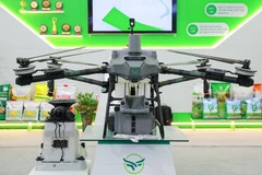 Вьетнамские бренды на Осенней ярмарке 2025 года