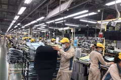 Производственная деятельность на предприятии Toyota Boshoku Ханой. (Фото: ВИА)