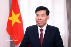 Заместитель министра иностранных дел Нгуен Мань Кыонг. Фото: ВИА