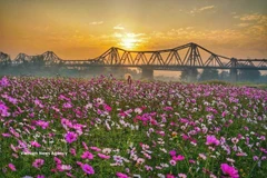 Красота моста Лонгбьен — культурный и исторический символ Ханоя. (Фото: ВИА)